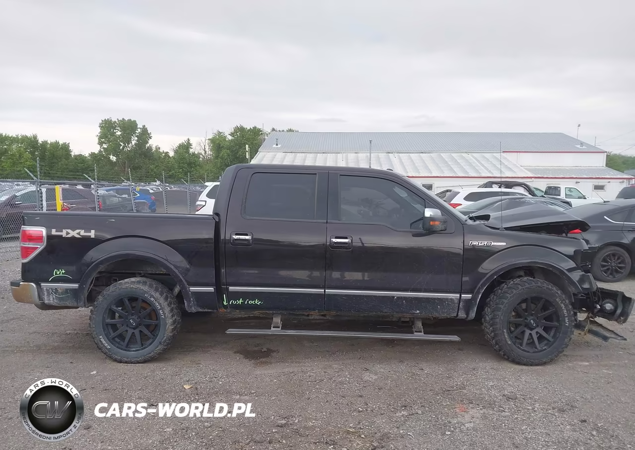 2013 Ford F-150 Platinum VIN:1FTFW1EF2DFA12505 - 13