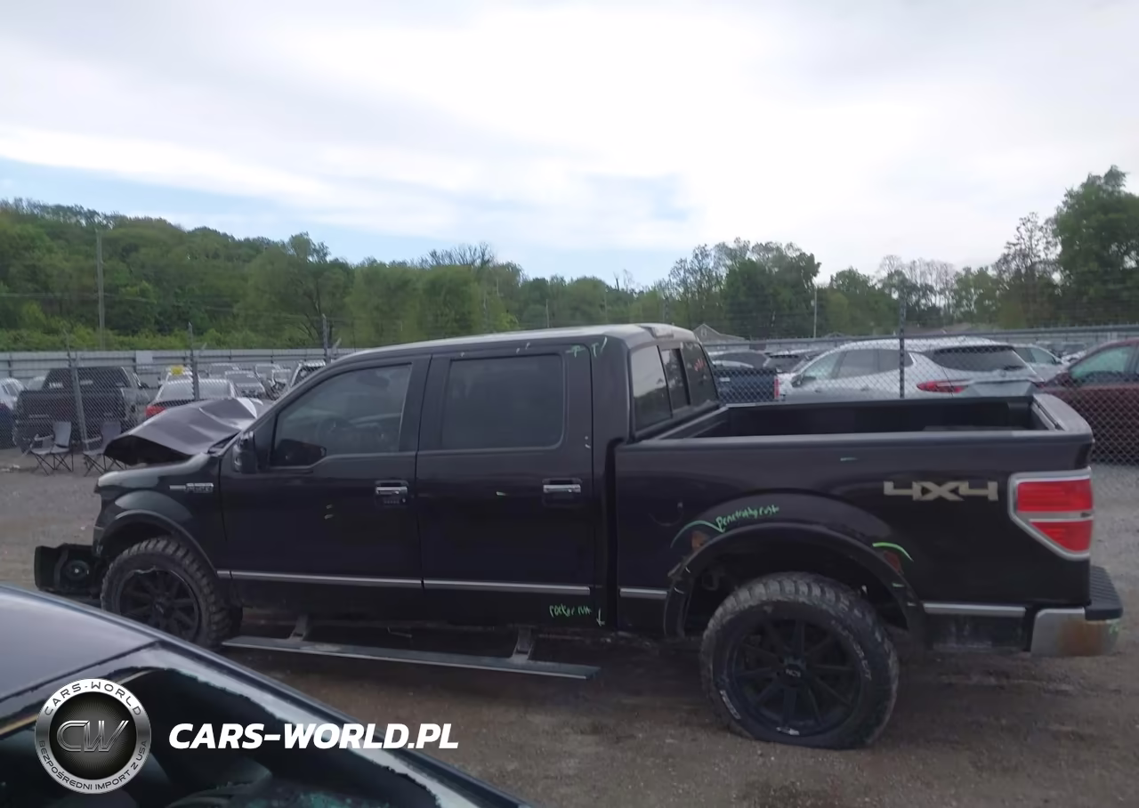 2013 Ford F-150 Platinum VIN:1FTFW1EF2DFA12505 - 14
