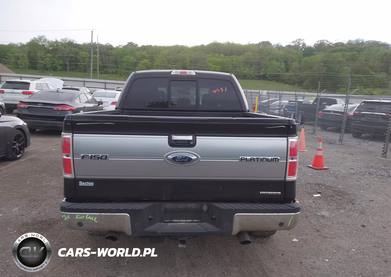 2013 Ford F-150 Platinum VIN:1FTFW1EF2DFA12505 - 16