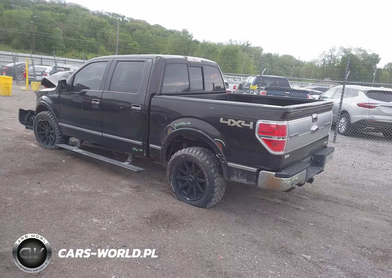 2013 Ford F-150 Platinum VIN:1FTFW1EF2DFA12505 - 3