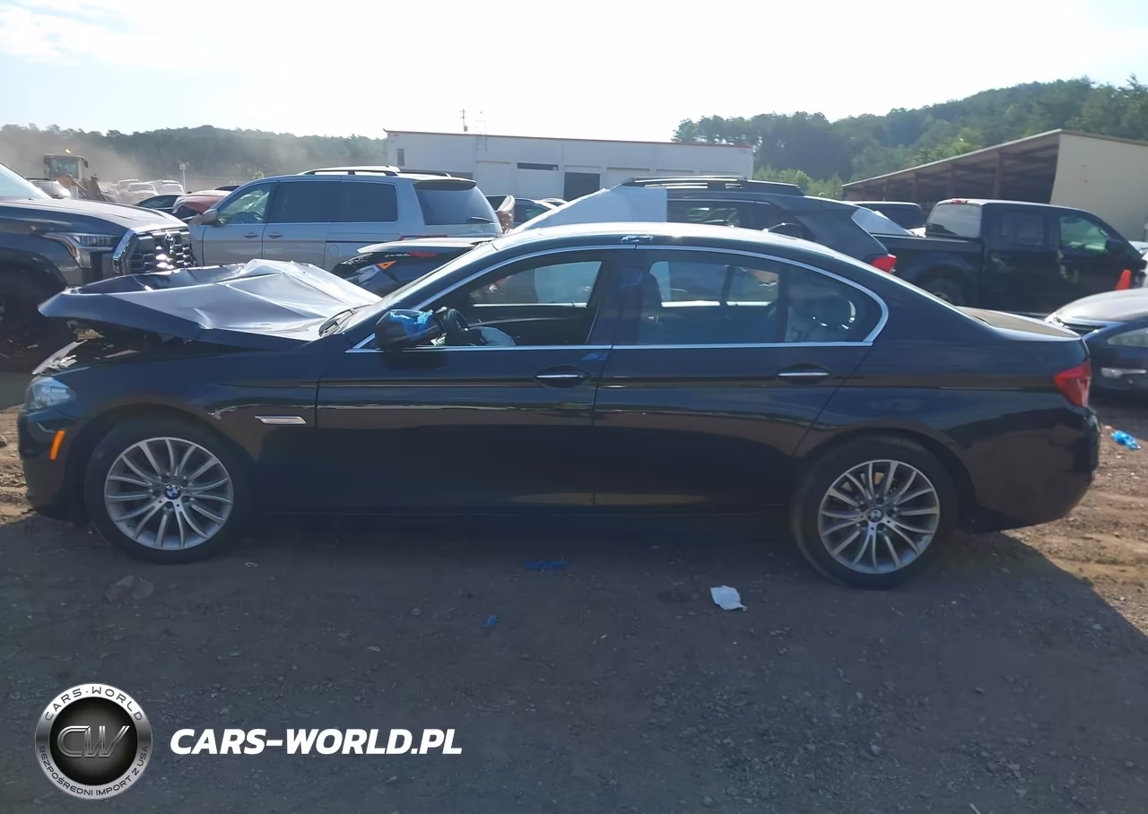 2014 BMW 528I VIN:WBA5A5C58ED503389 - 13
