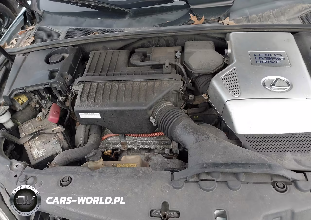 2008 Lexus Rx 400H VIN:JTJGW31U382007814 - 10