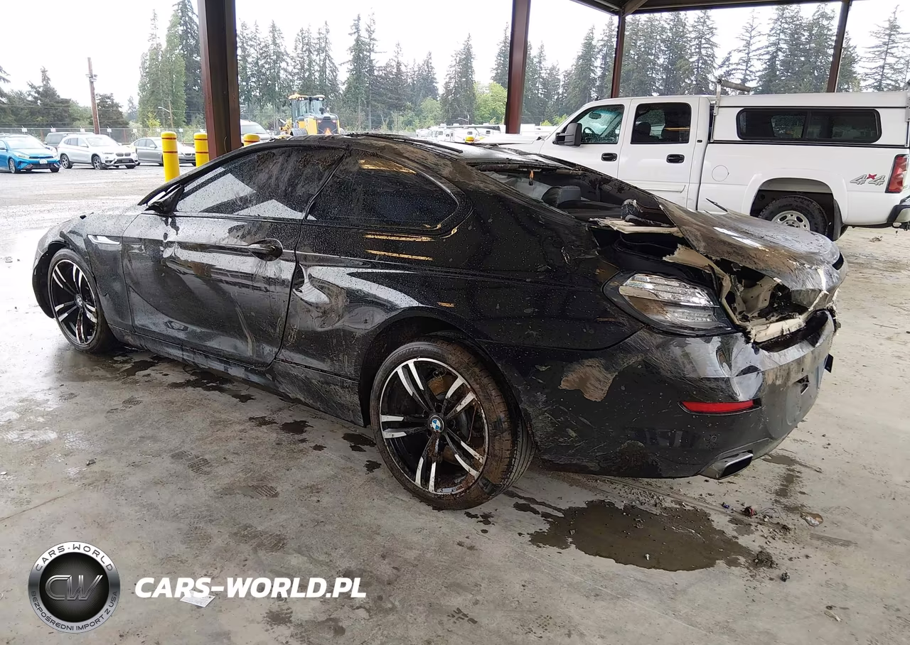 2014 BMW 650I xDrive VIN:WBAYM1C53ED325064 - 3