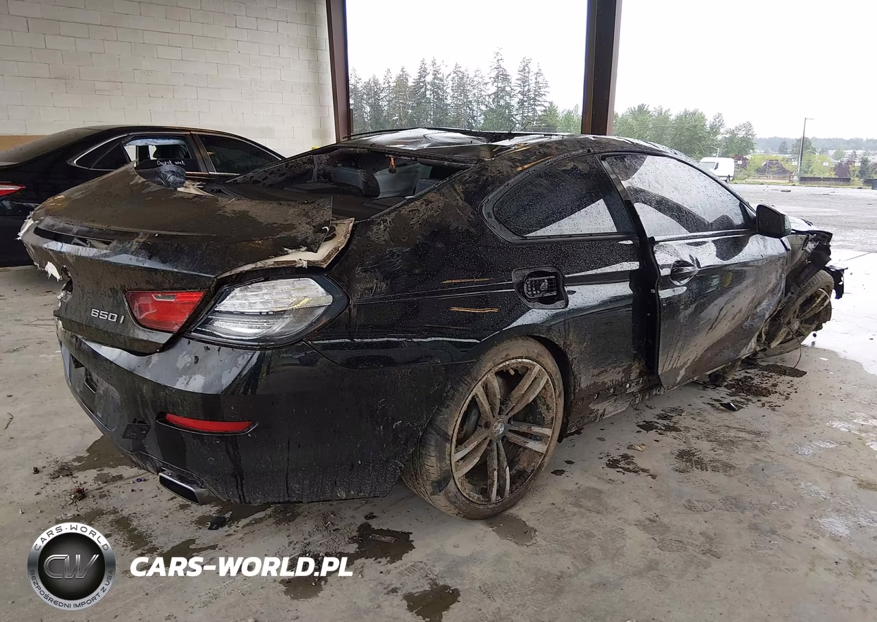 2014 BMW 650I xDrive VIN:WBAYM1C53ED325064 - 4