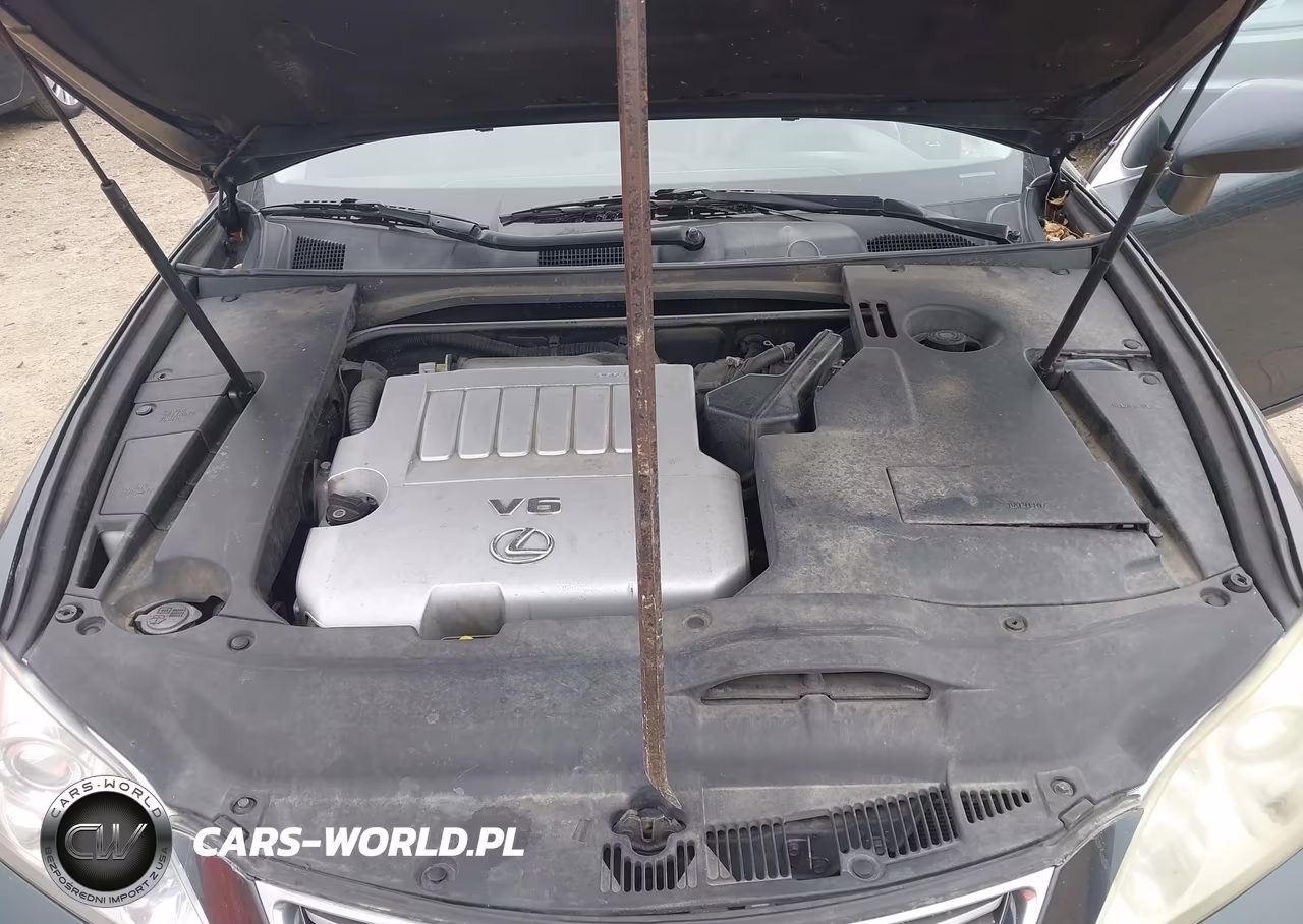 2007 Lexus Es 350 VIN:JTHBJ46G972150638 - 10