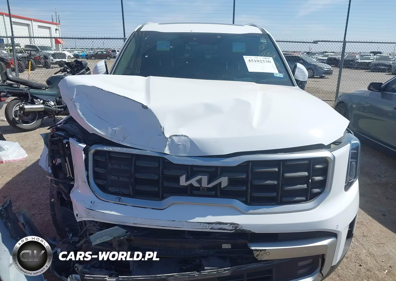 2024 Kia Telluride Sx Prestige VIN:5XYP5DGC1RG428304 - 13