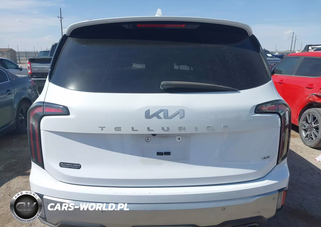 2024 Kia Telluride Sx Prestige VIN:5XYP5DGC1RG428304 - 17
