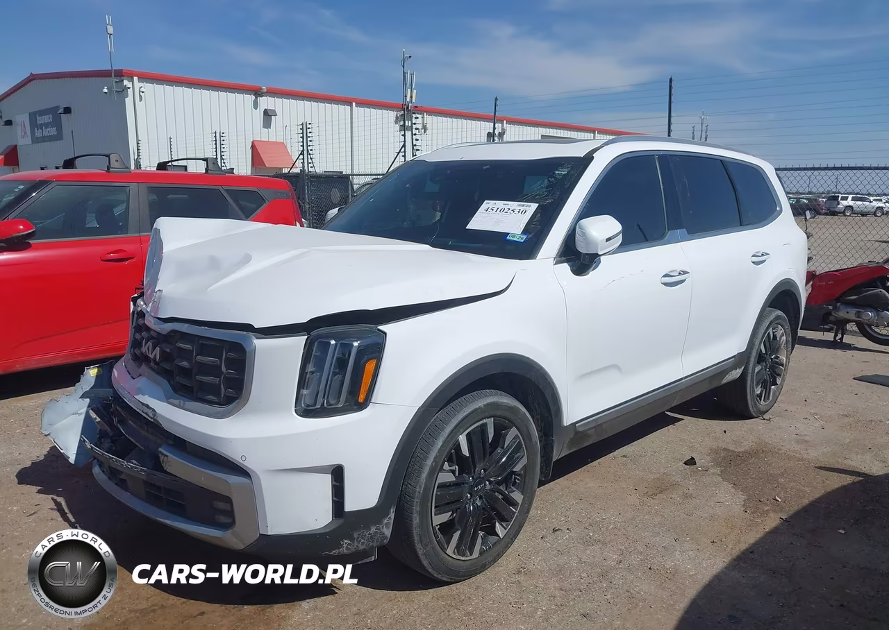 2024 Kia Telluride Sx Prestige VIN:5XYP5DGC1RG428304 - 2