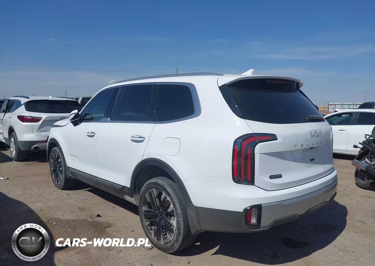 2024 Kia Telluride Sx Prestige VIN:5XYP5DGC1RG428304 - 3