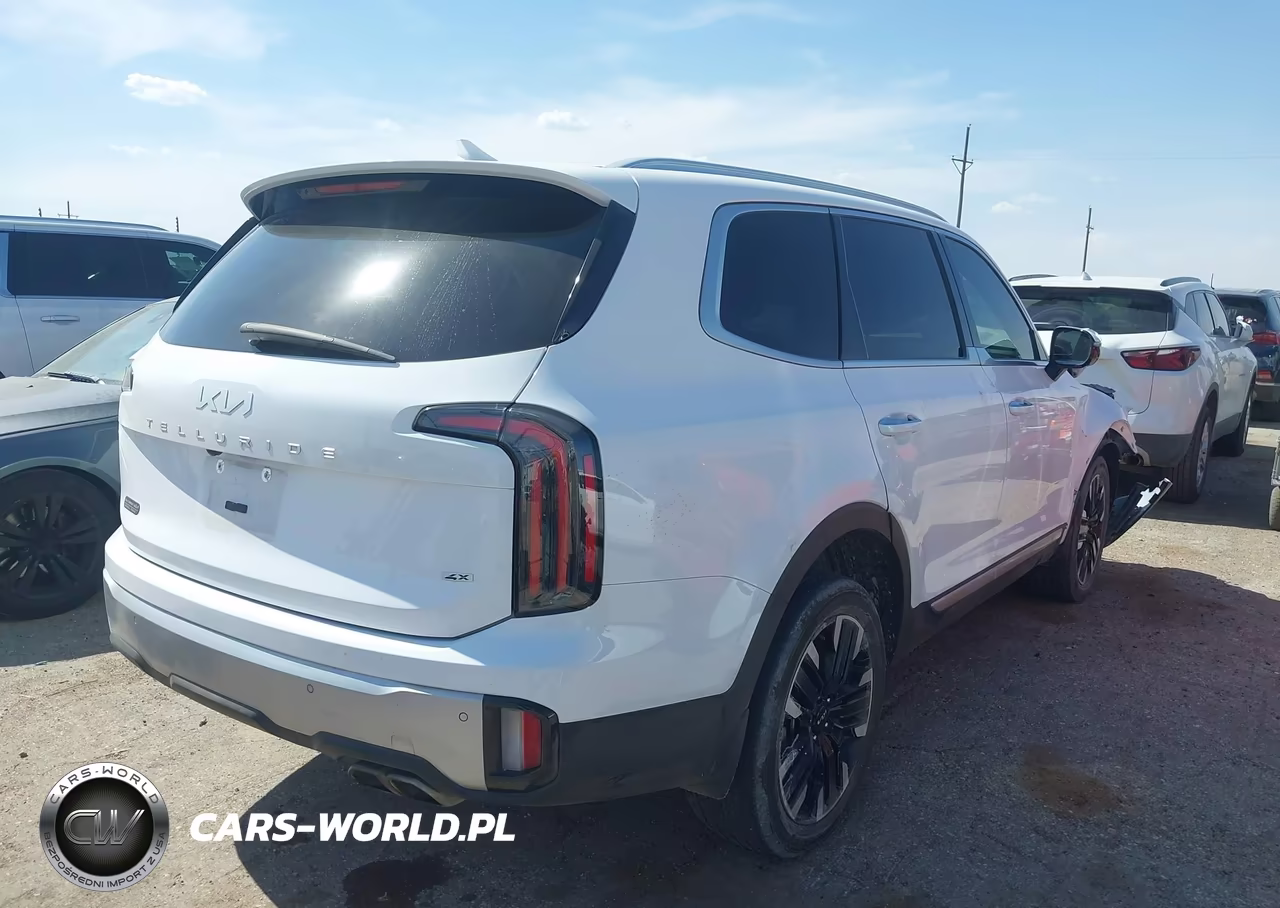 2024 Kia Telluride Sx Prestige VIN:5XYP5DGC1RG428304 - 4