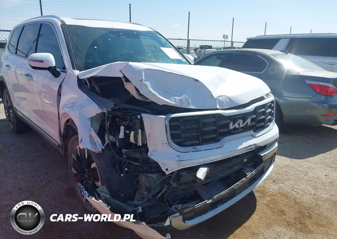 2024 Kia Telluride Sx Prestige VIN:5XYP5DGC1RG428304 - 6