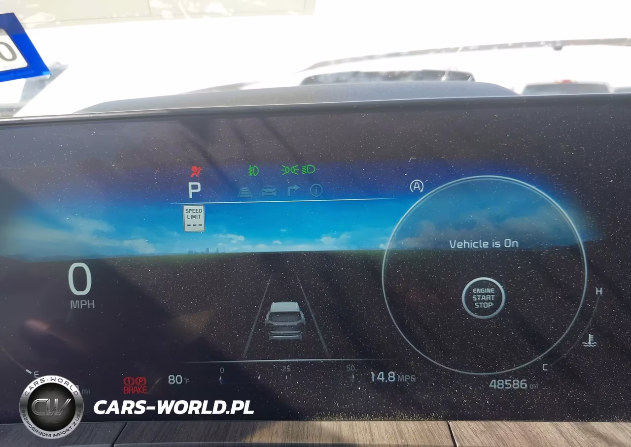 2024 Kia Telluride Sx Prestige VIN:5XYP5DGC1RG428304 - 7