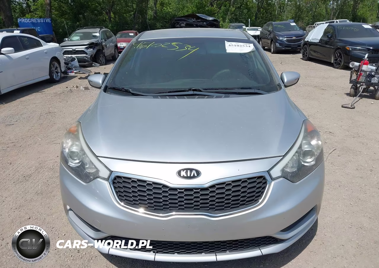 2014 Kia Forte Lx VIN:KNAFX4A65E5165047 - 12