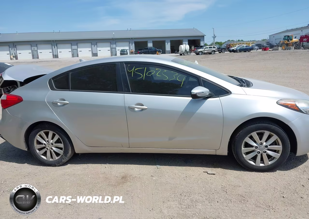 2014 Kia Forte Lx VIN:KNAFX4A65E5165047 - 13