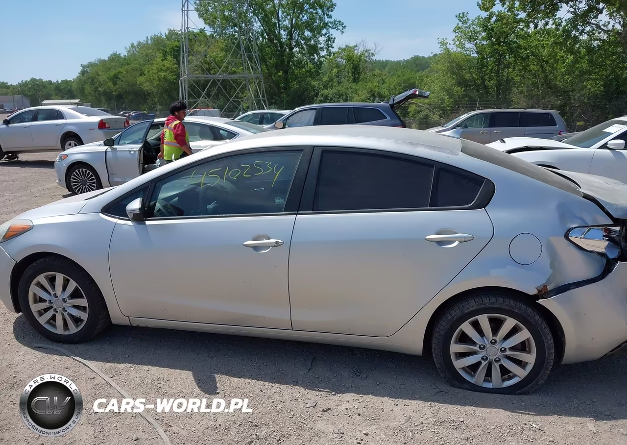 2014 Kia Forte Lx VIN:KNAFX4A65E5165047 - 14
