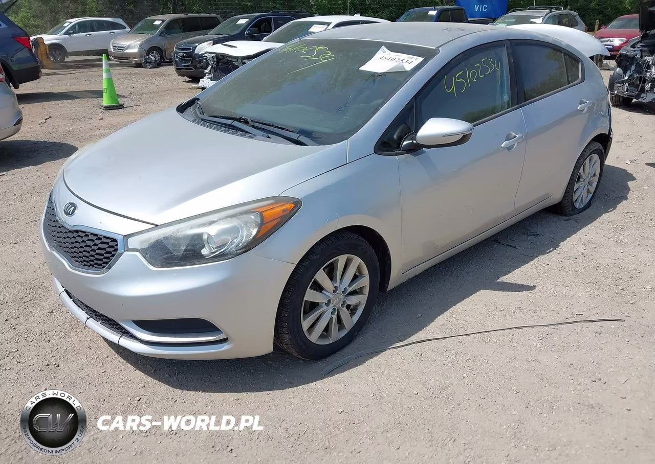 2014 Kia Forte Lx VIN:KNAFX4A65E5165047 - 2