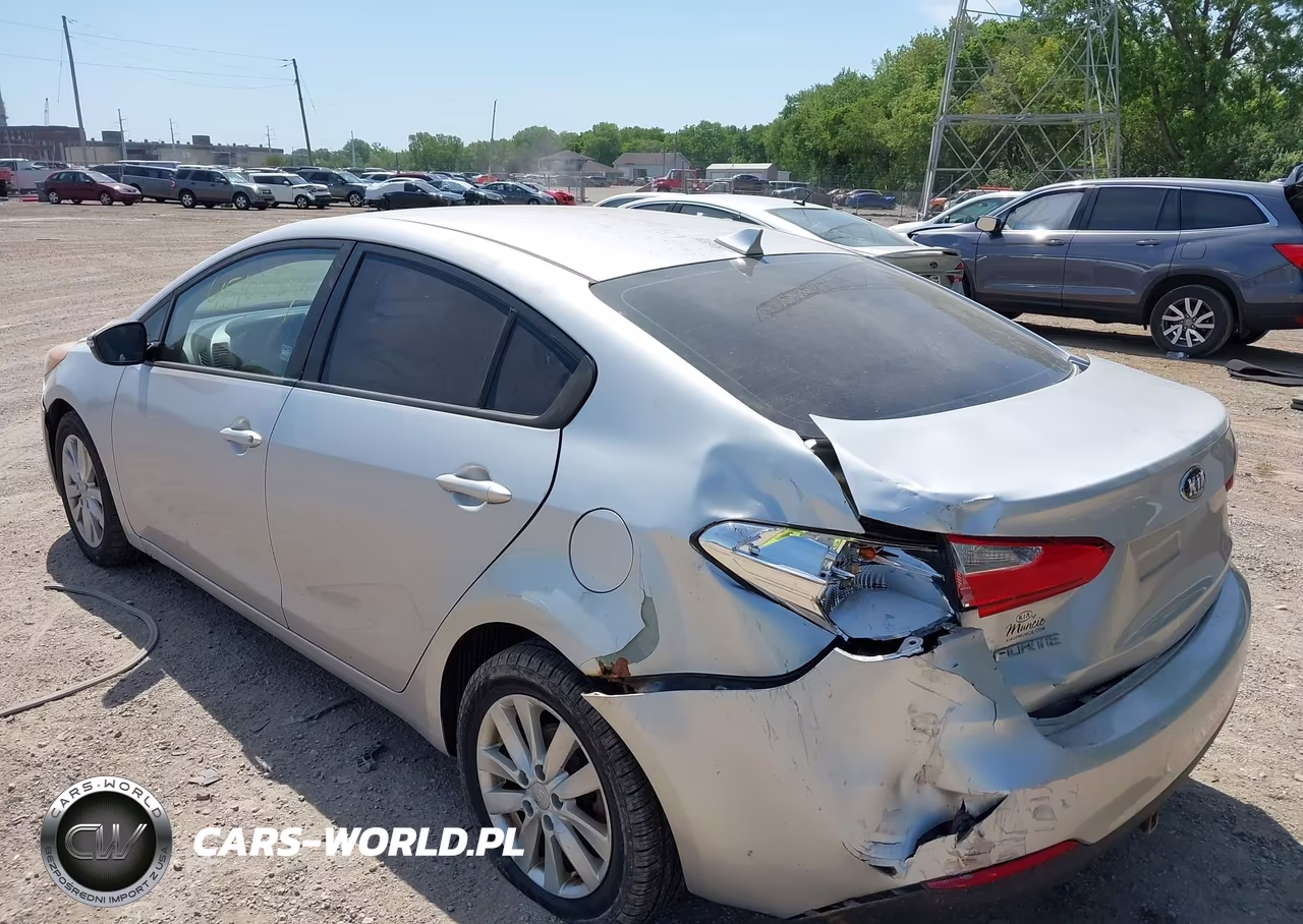 2014 Kia Forte Lx VIN:KNAFX4A65E5165047 - 6