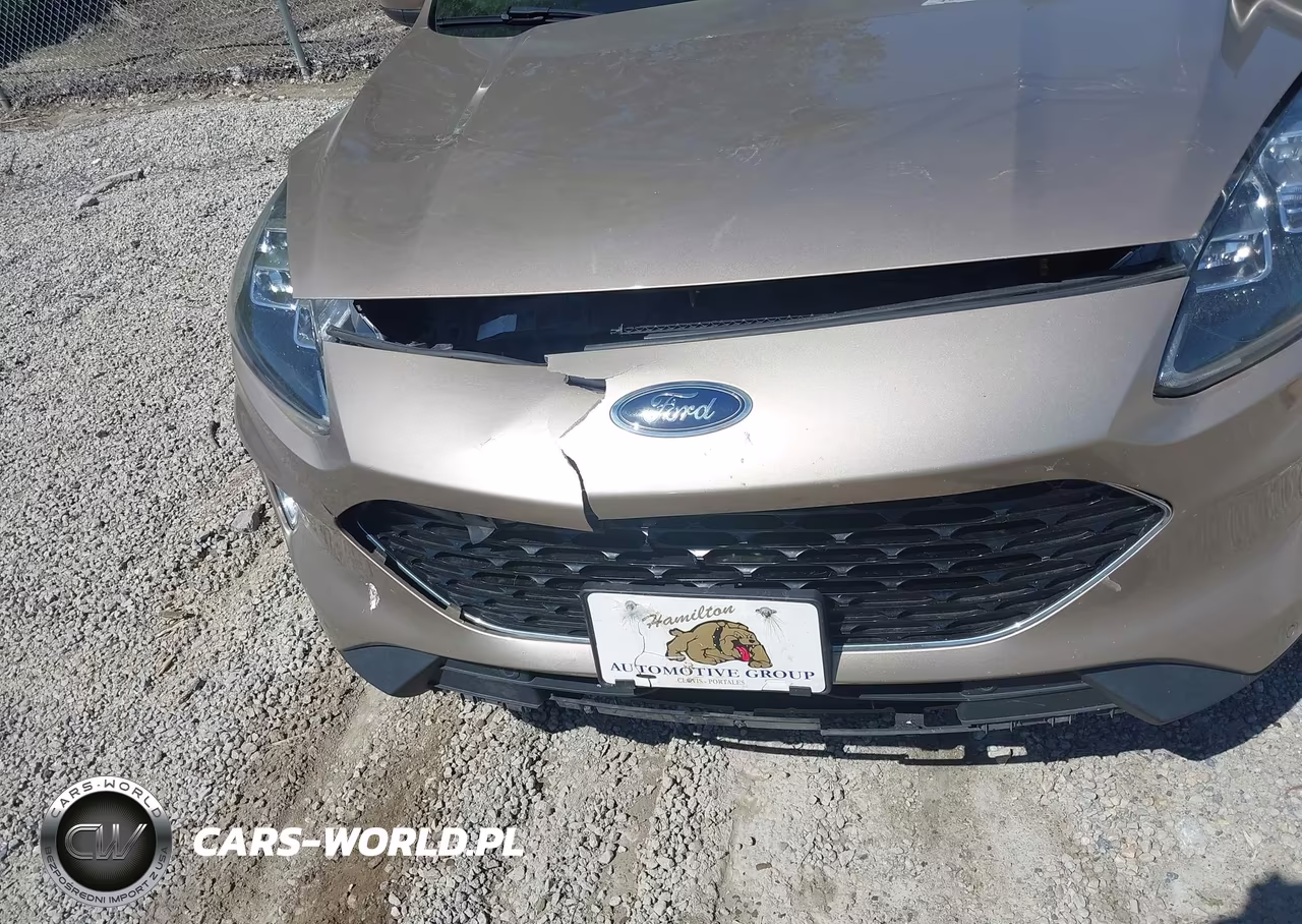 2020 Ford Escape Titanium Hybrid VIN:1FMCU0DZ5LUB93880 - 6