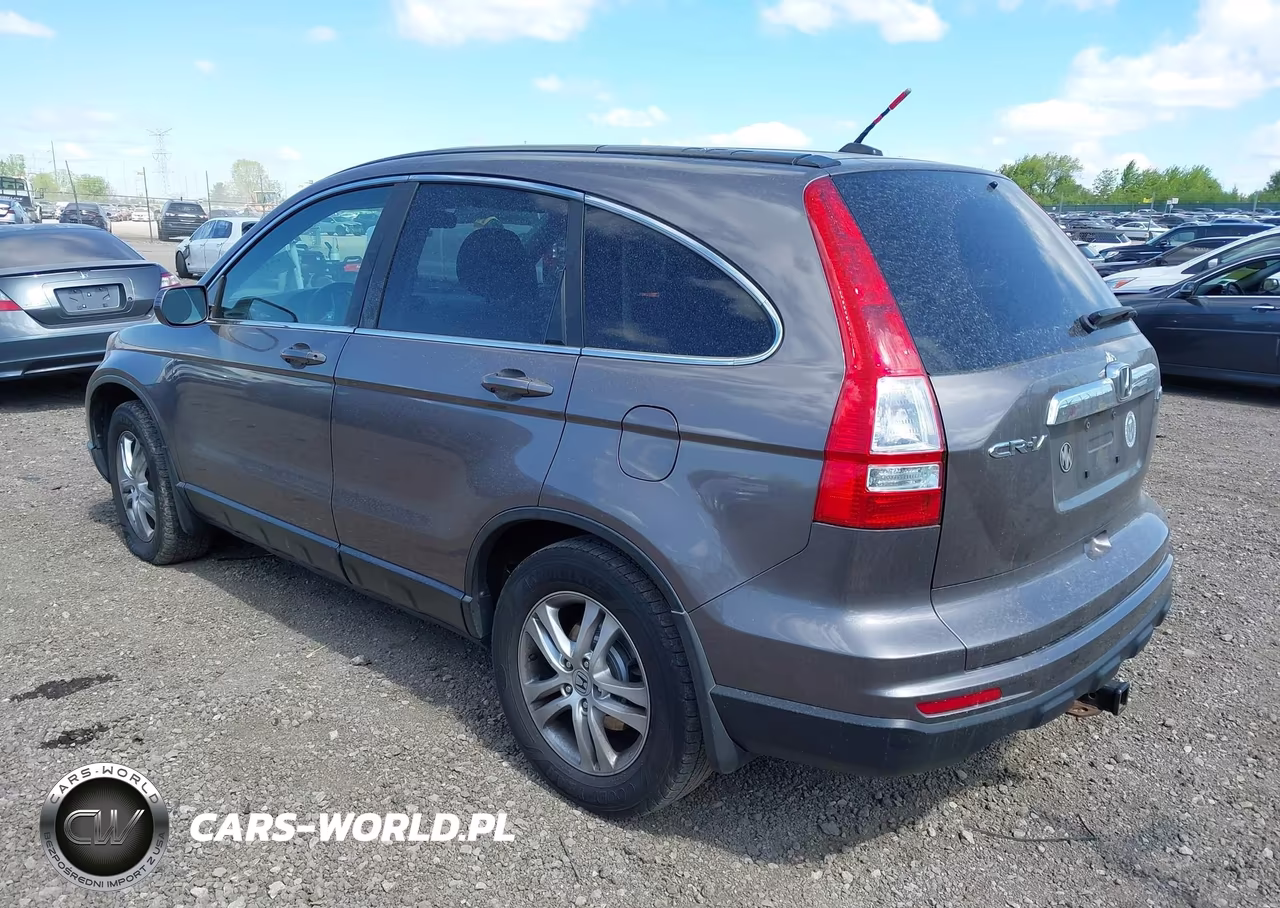 2010 Honda Cr-V Ex-L VIN:5J6RE4H77AL083955 - 3