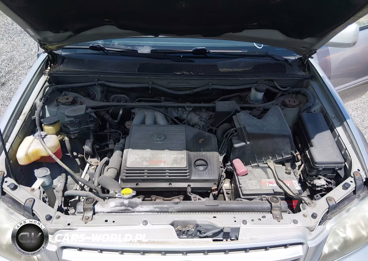 2002 Toyota Highlander V6 VIN:JTEGF21A920069865 - 10