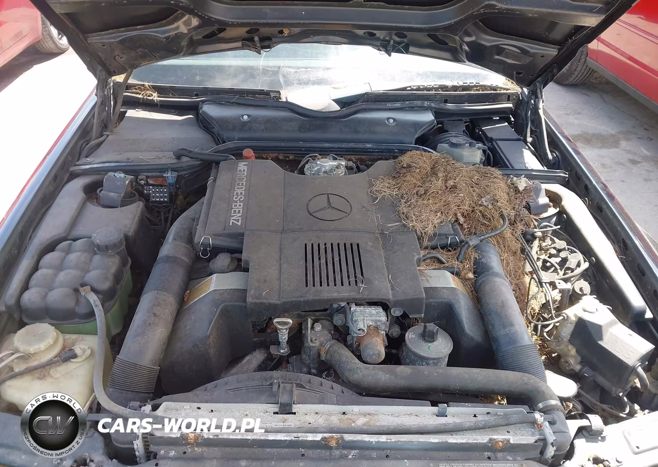 1991 Mercedes-Benz 500 Sl VIN:WDBFA66EXMF030301 - 10