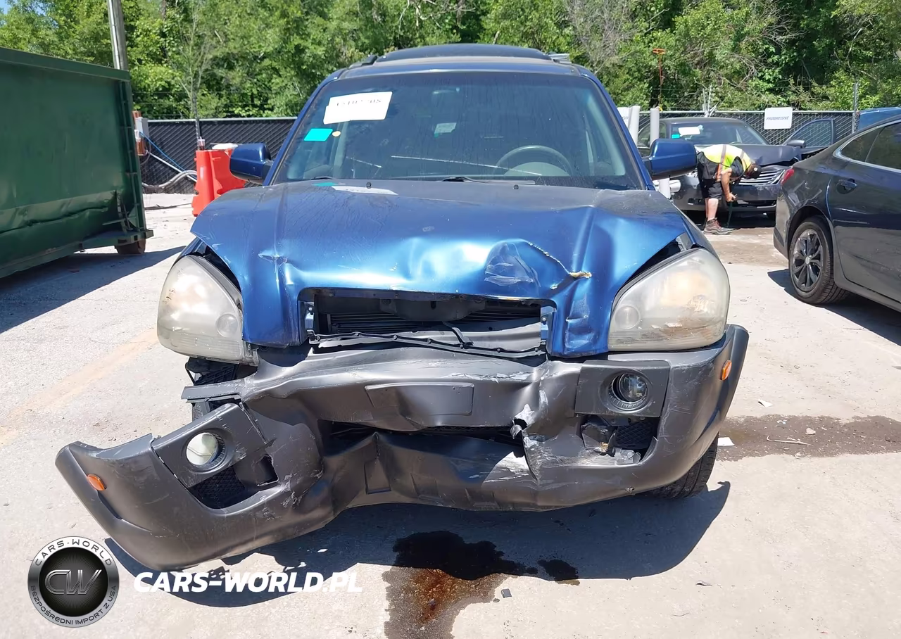 2006 Hyundai Tucson Gls-Limited VIN:KM8JN12D96U306655 - 6