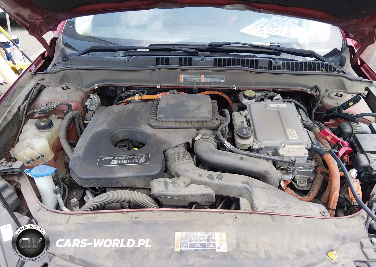 2016 Ford Fusion Energi Titanium VIN:3FA6P0SU5GR229747 - 10