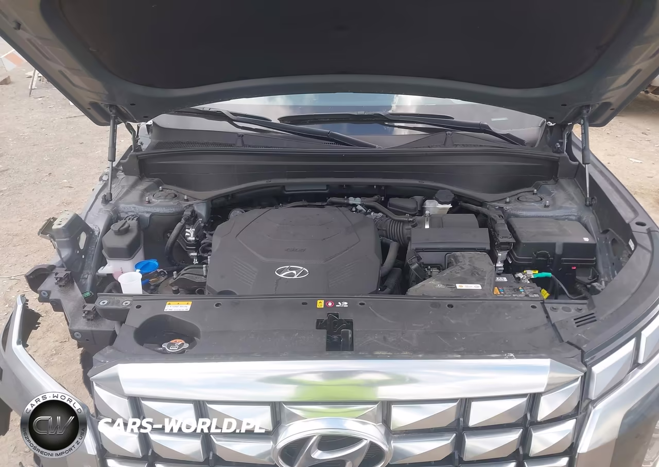 2024 Hyundai Palisade Calligraphy VIN:KM8R74GE6RU794791 - 10