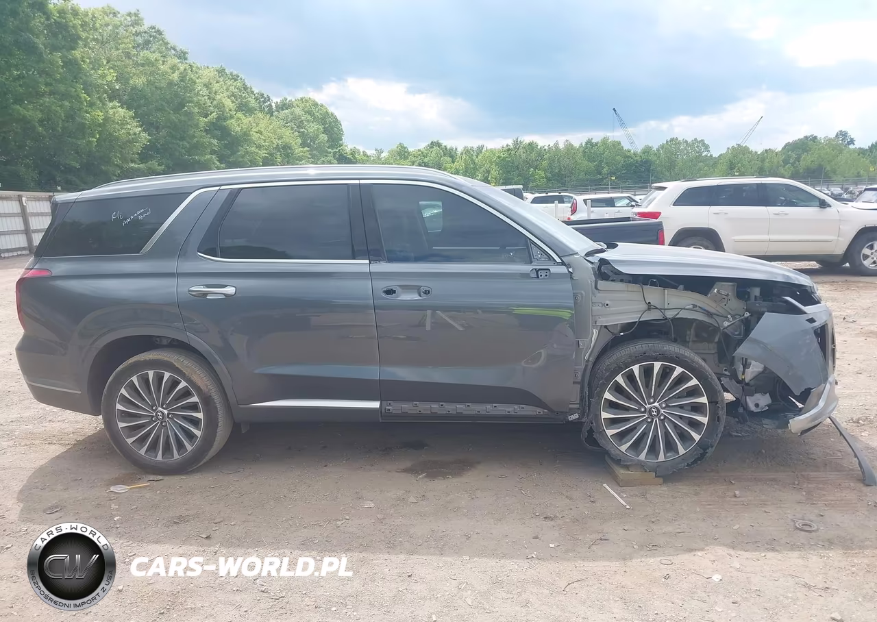 2024 Hyundai Palisade Calligraphy VIN:KM8R74GE6RU794791 - 13