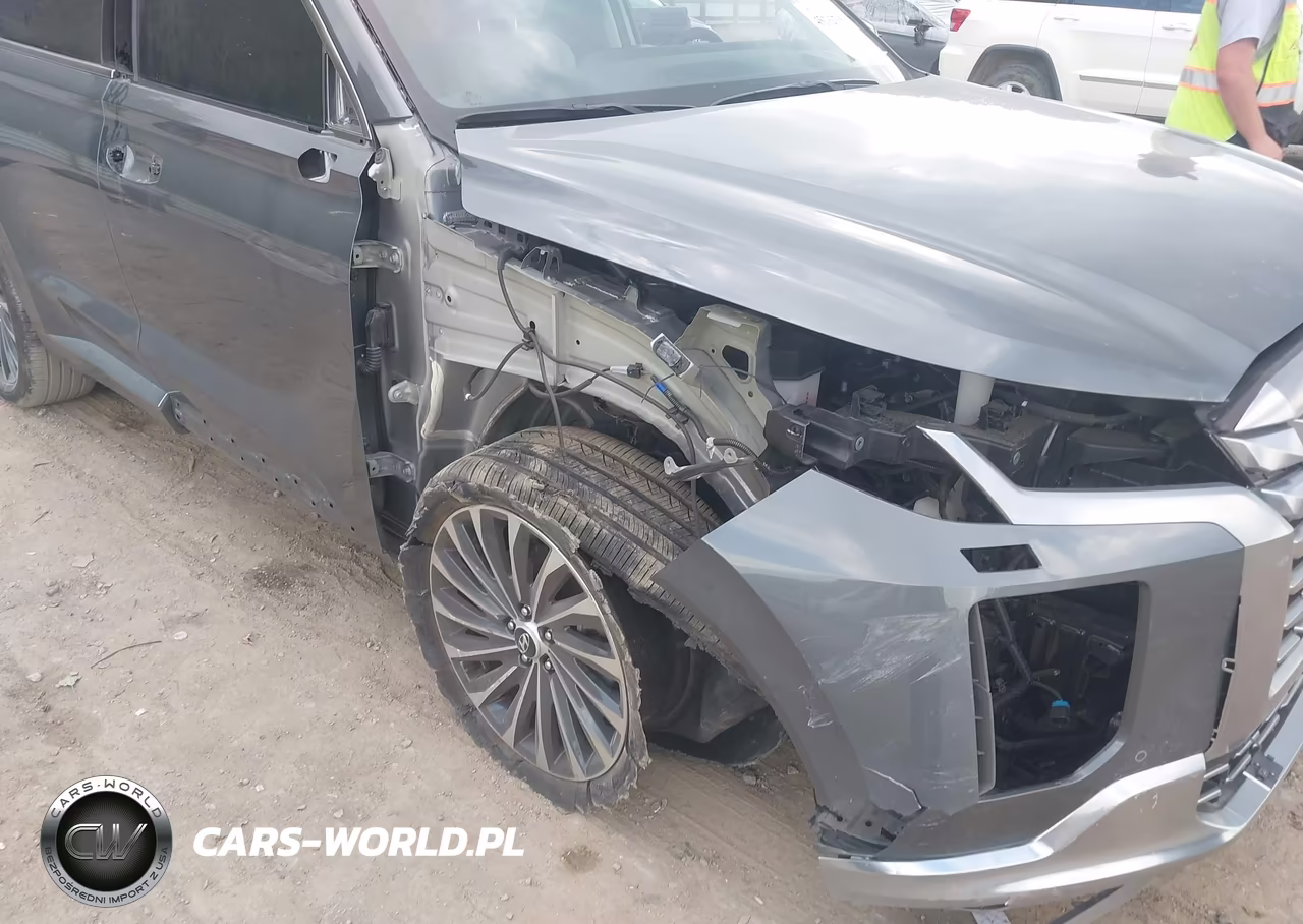 2024 Hyundai Palisade Calligraphy VIN:KM8R74GE6RU794791 - 6
