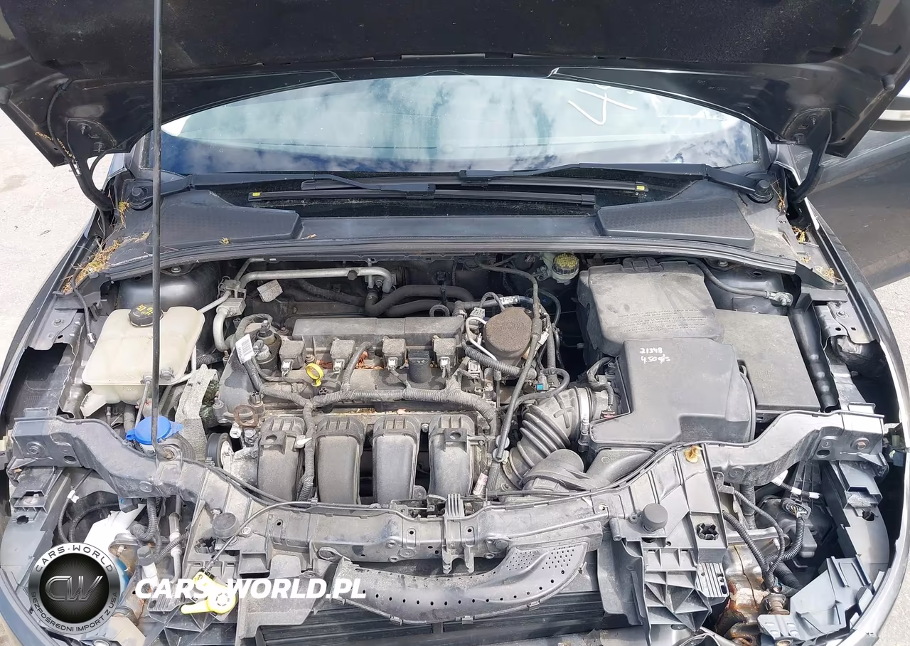 2016 Ford Focus Se VIN:1FADP3F22GL240494 - 10