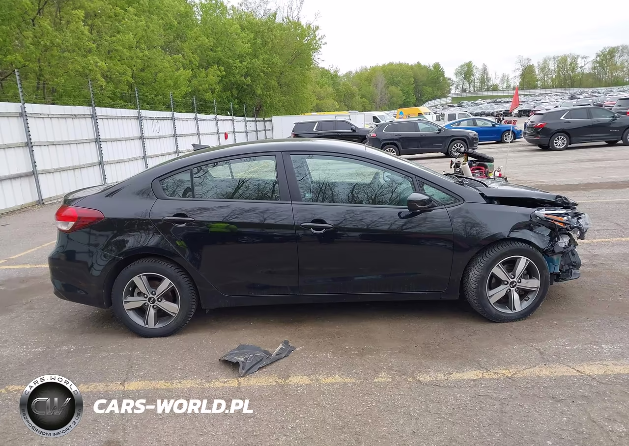 2018 Kia Forte Lx VIN:3KPFL4A70JE170274 - 13