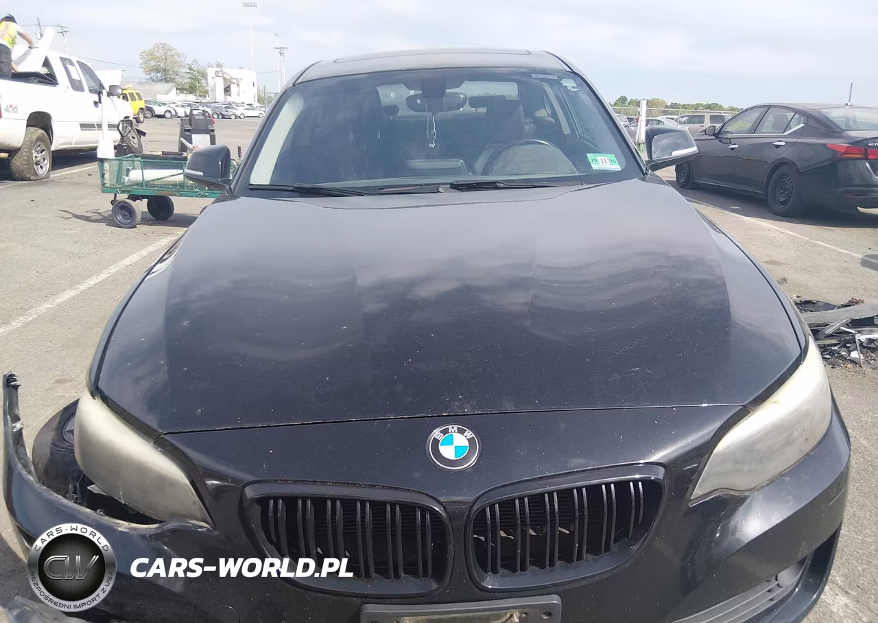 2015 BMW 228I xDrive VIN:WBA1F7C50FVX95692 - 12