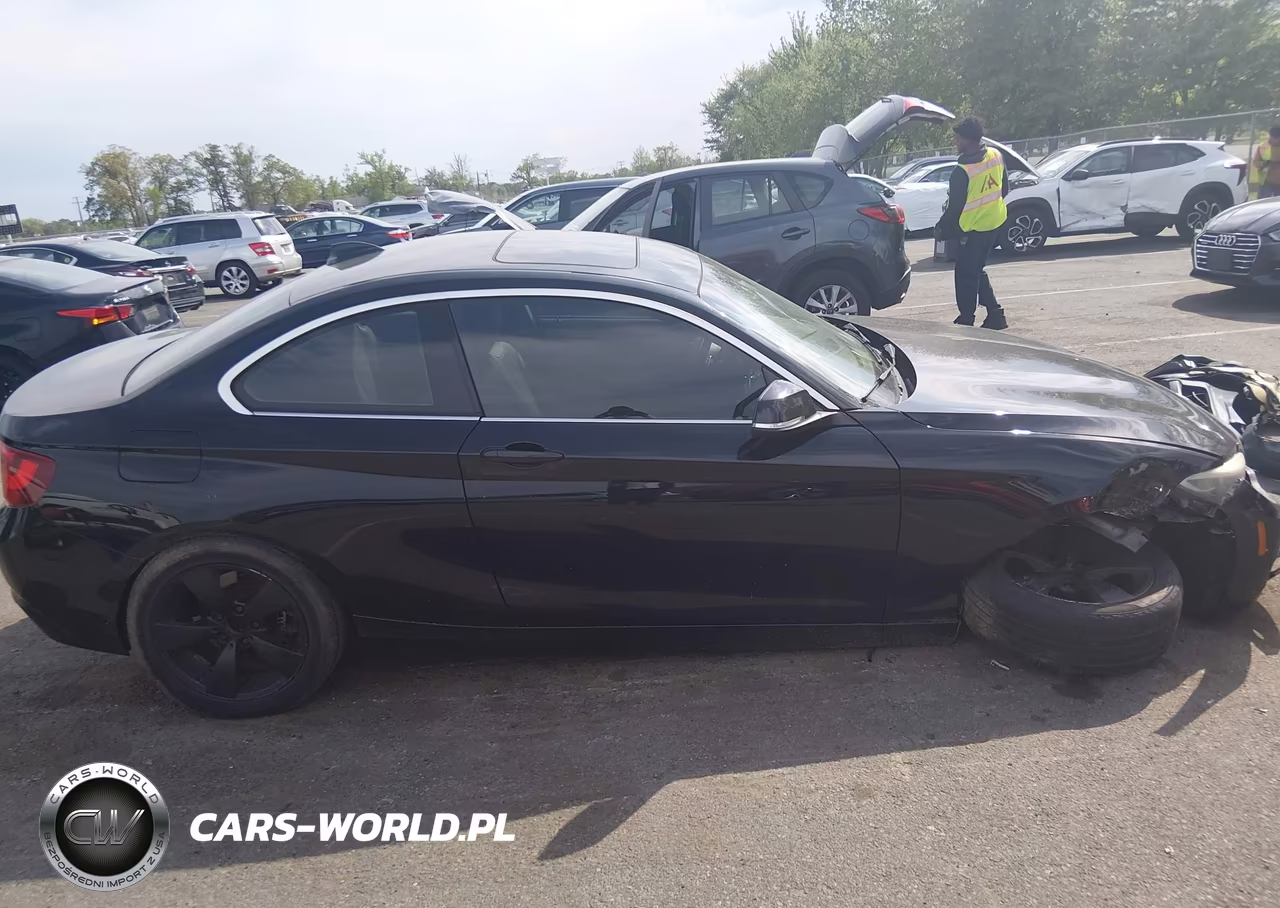 2015 BMW 228I xDrive VIN:WBA1F7C50FVX95692 - 13