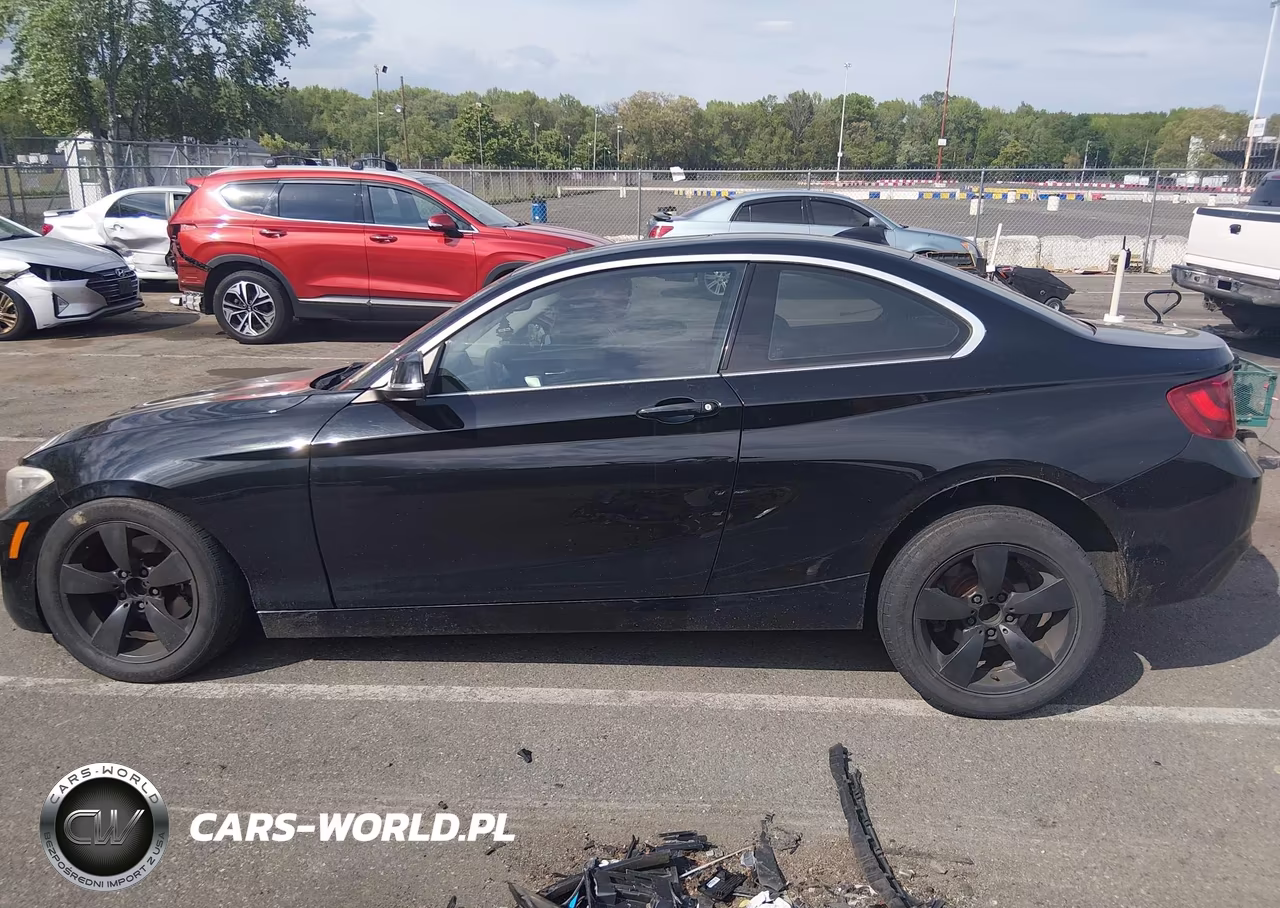 2015 BMW 228I xDrive VIN:WBA1F7C50FVX95692 - 14