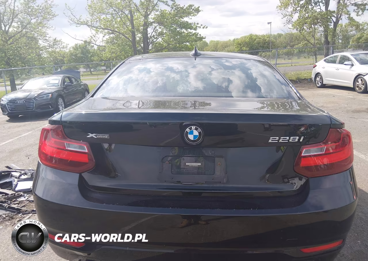 2015 BMW 228I xDrive VIN:WBA1F7C50FVX95692 - 16