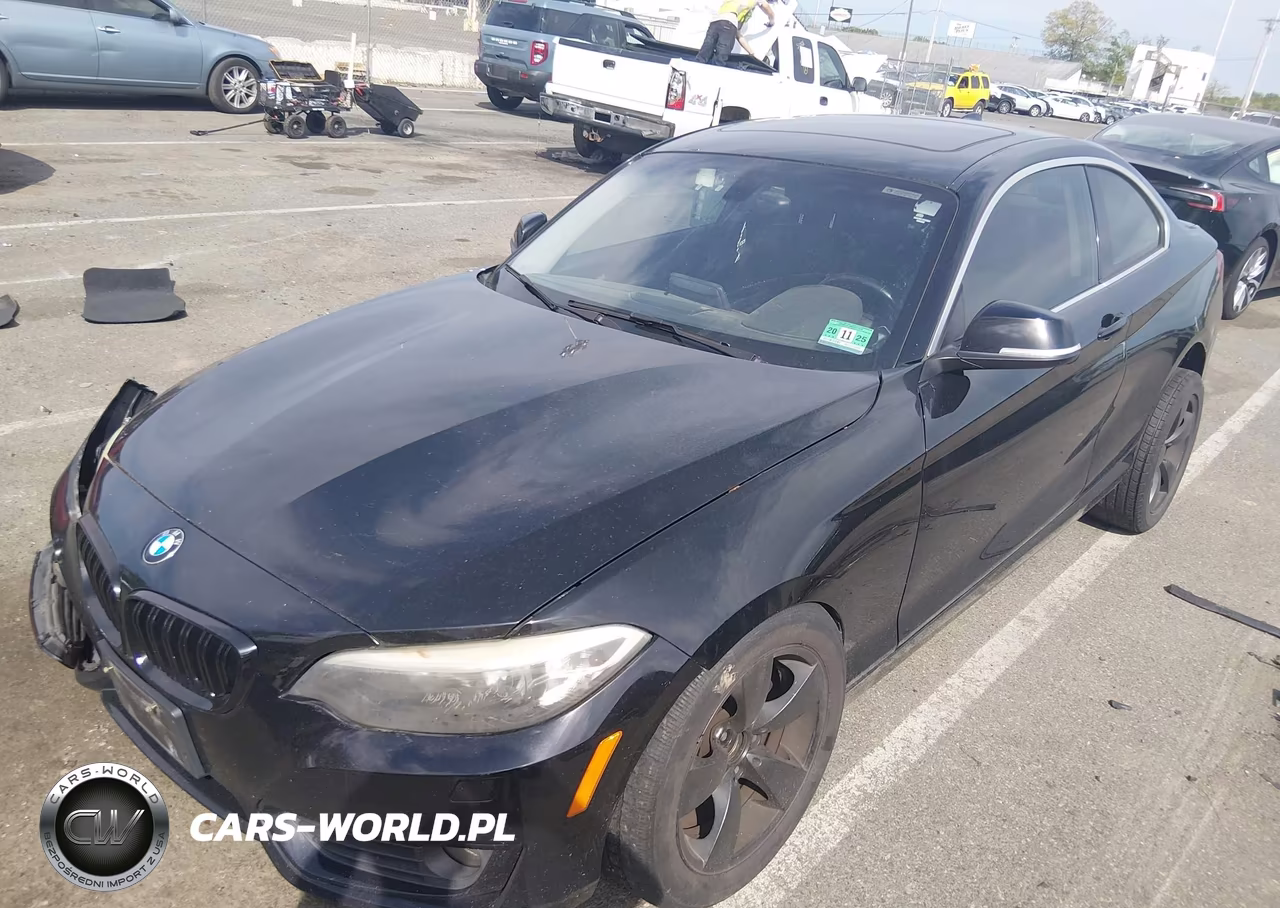 2015 BMW 228I xDrive VIN:WBA1F7C50FVX95692 - 2