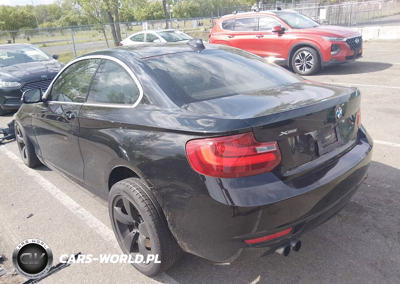 2015 BMW 228I xDrive VIN:WBA1F7C50FVX95692 - 3