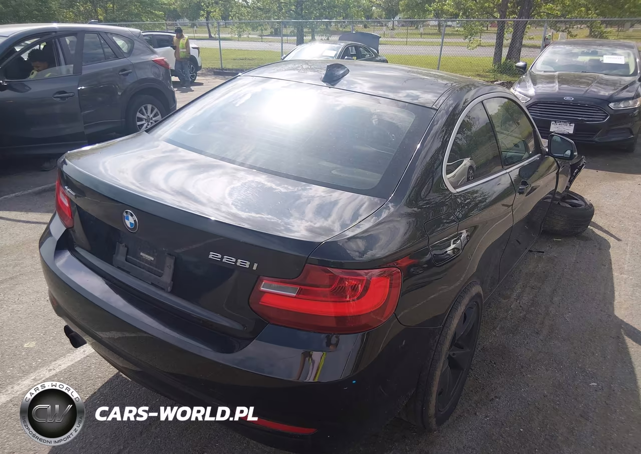 2015 BMW 228I xDrive VIN:WBA1F7C50FVX95692 - 4