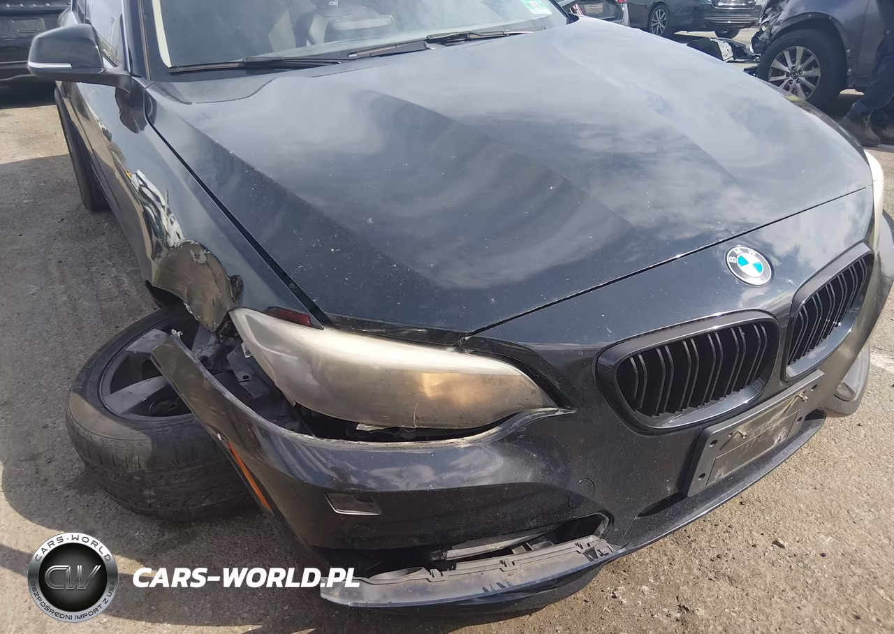 2015 BMW 228I xDrive VIN:WBA1F7C50FVX95692 - 6
