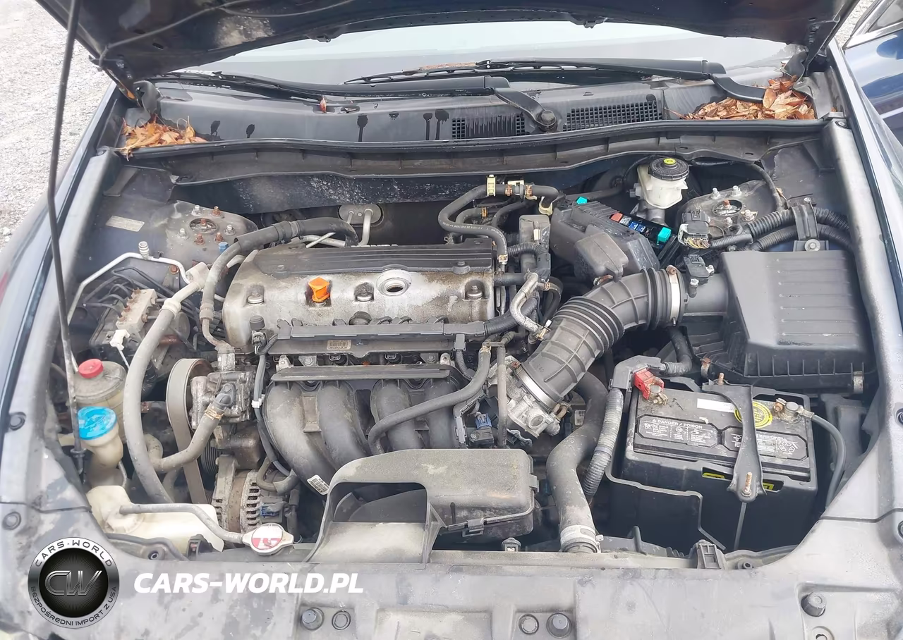 2010 Honda Accord 2.4 Lx VIN:1HGCP2F39AA180954 - 10