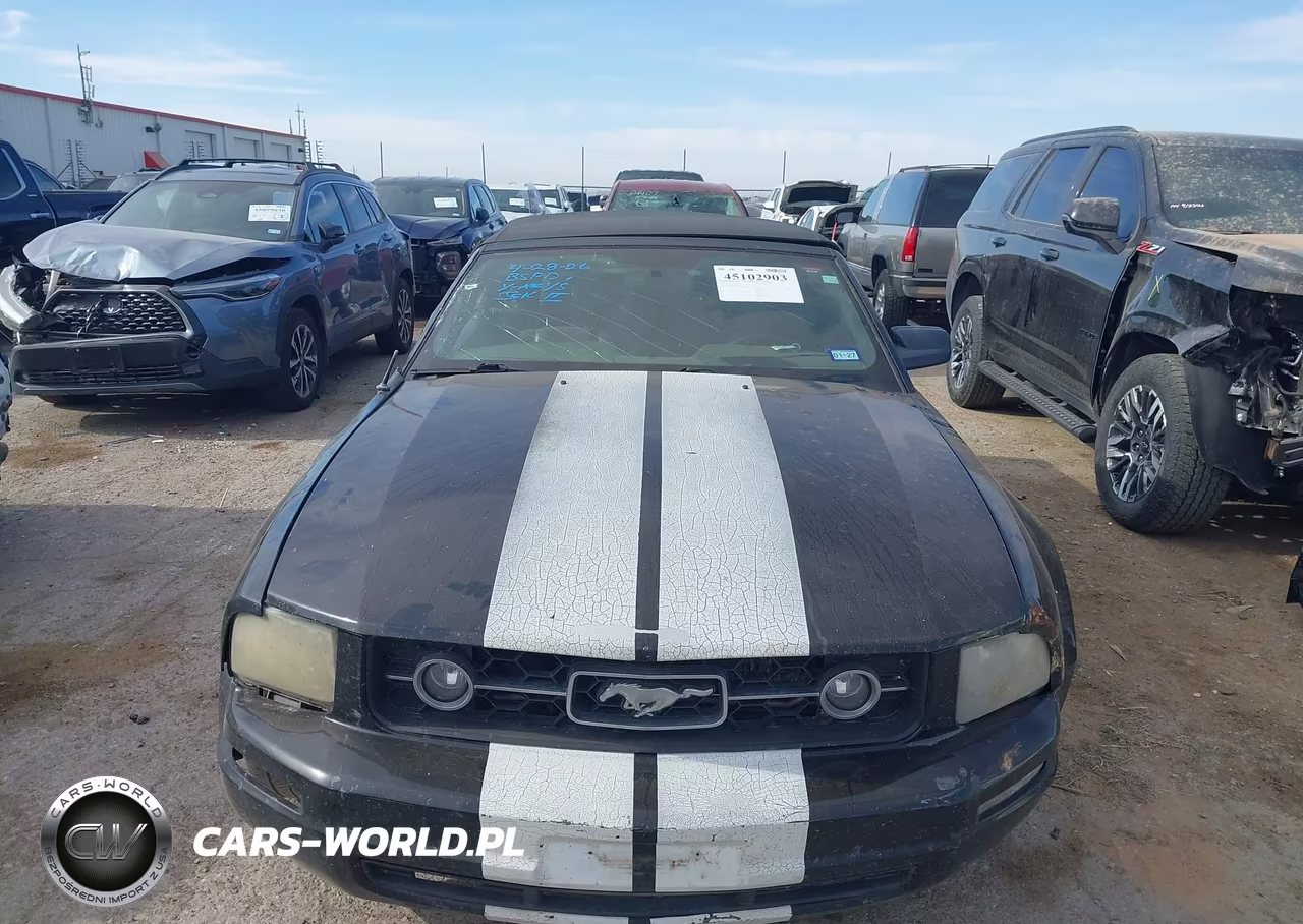 2009 Ford Mustang V6-V6 Premium VIN:1ZVHT84N995123016 - 12