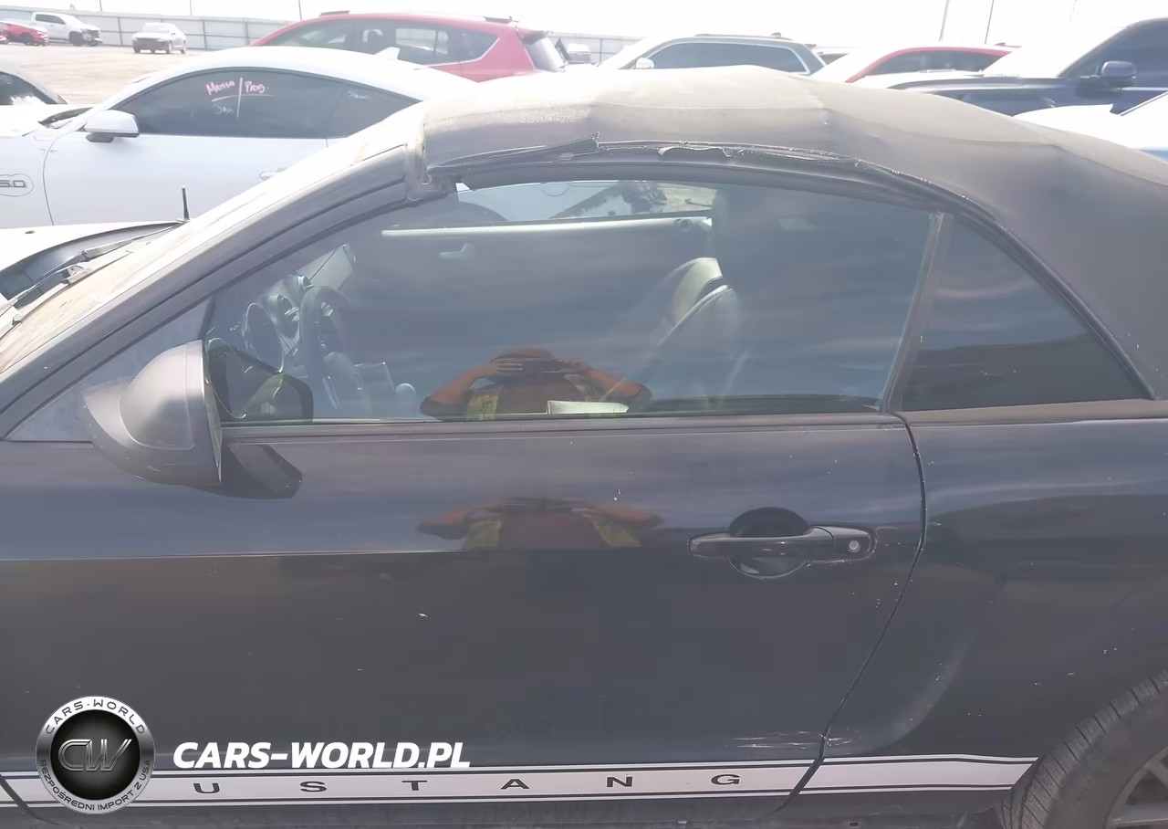 2009 Ford Mustang V6-V6 Premium VIN:1ZVHT84N995123016 - 14