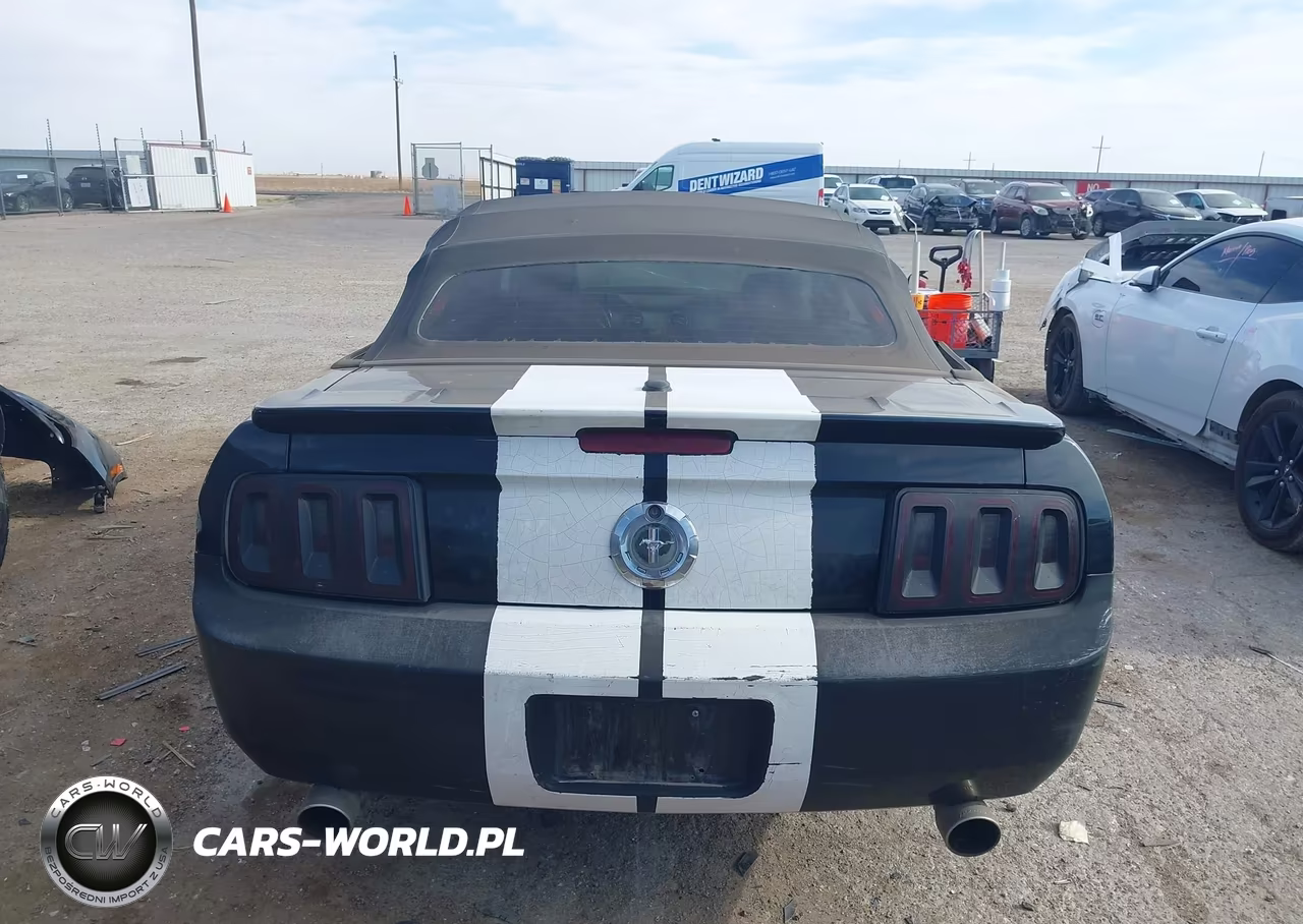 2009 Ford Mustang V6-V6 Premium VIN:1ZVHT84N995123016 - 16