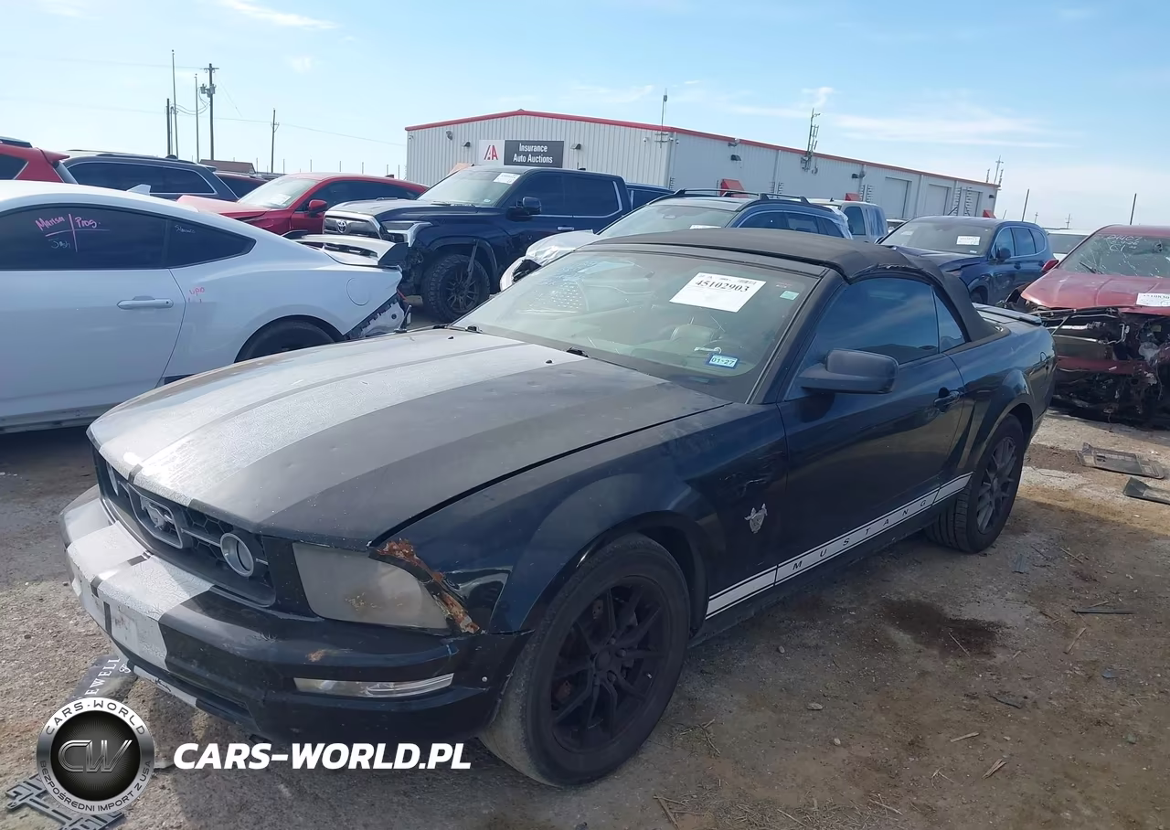 2009 Ford Mustang V6-V6 Premium VIN:1ZVHT84N995123016 - 2