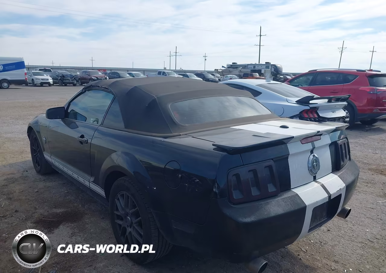 2009 Ford Mustang V6-V6 Premium VIN:1ZVHT84N995123016 - 3