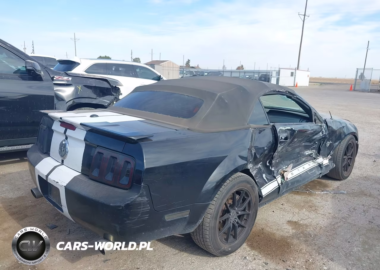 2009 Ford Mustang V6-V6 Premium VIN:1ZVHT84N995123016 - 4