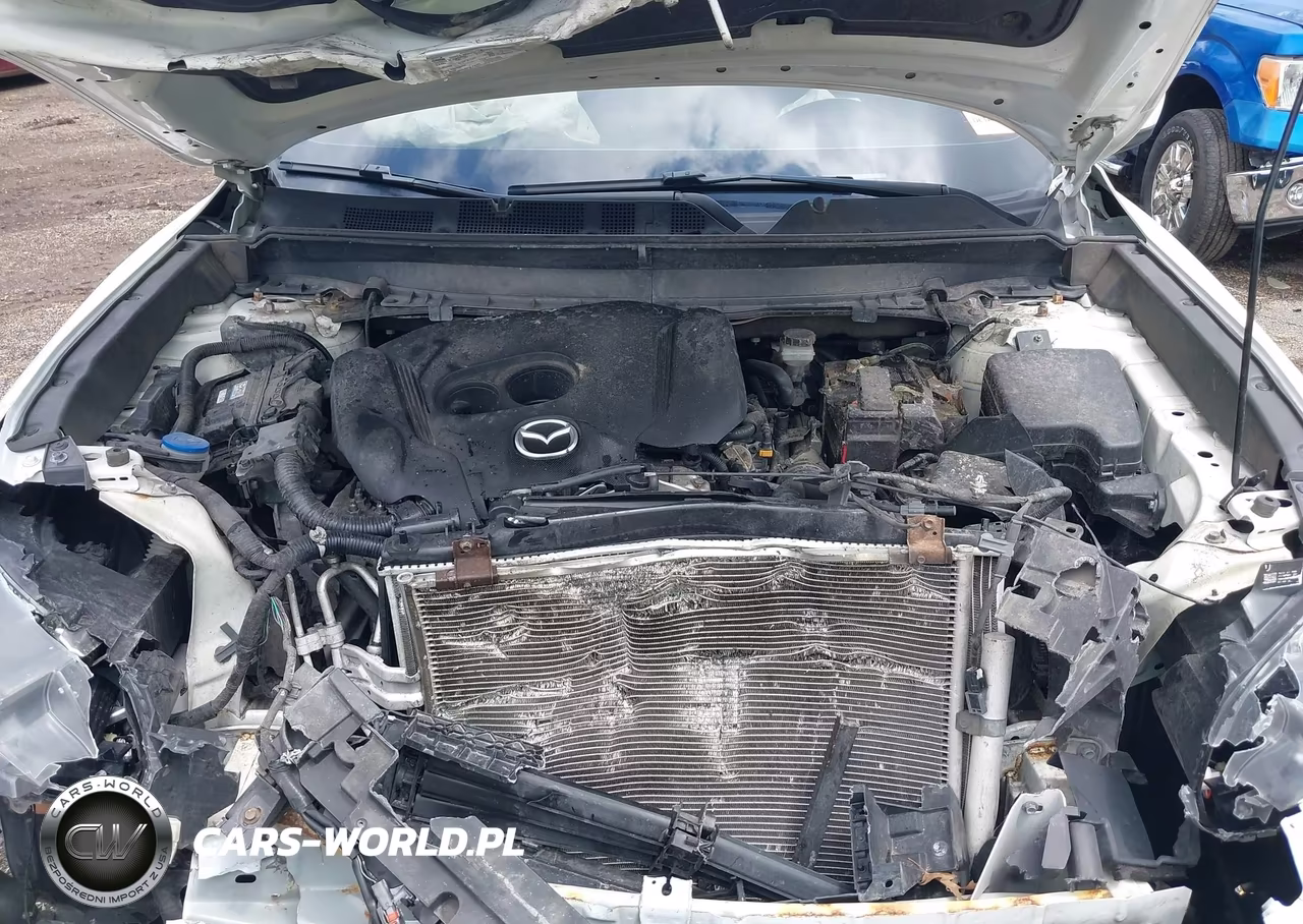 2016 Mazda Cx-9 Grand Touring VIN:JM3TCBDY3G0111711 - 10