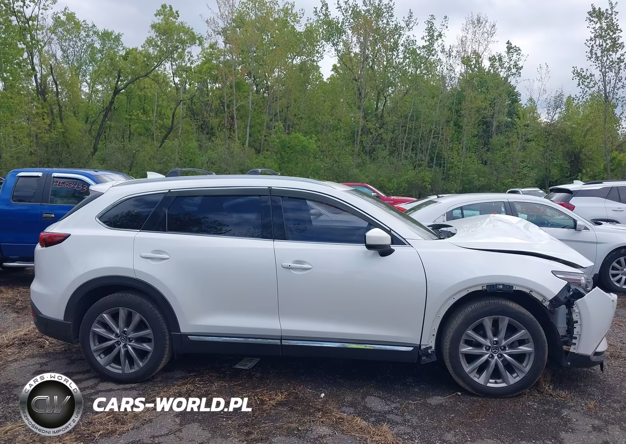 2016 Mazda Cx-9 Grand Touring VIN:JM3TCBDY3G0111711 - 13