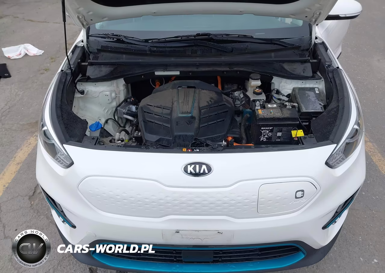 2020 Kia Niro Ev Ex VIN:KNDCC3LG9L5047548 - 10
